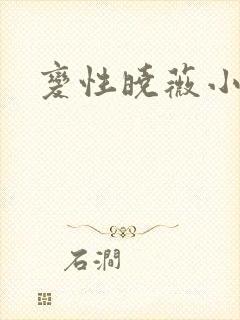 变性晓薇小说