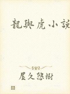 龙与虎小说