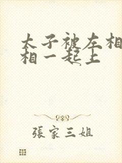 太子被左相和右相一起上