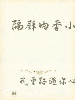 隔壁肉香小说