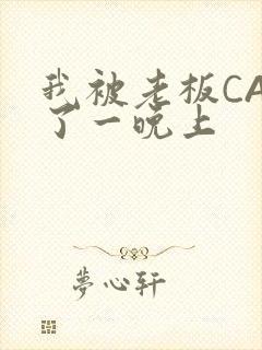 我被老板CAO了一晚上