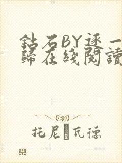 钻石BY逐一而归在线阅读