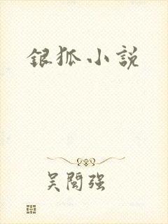 银狐小说