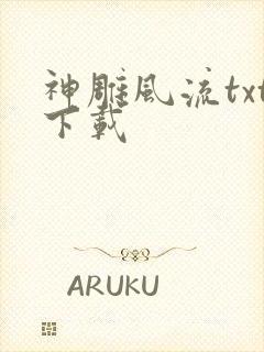 神雕风流txt下载