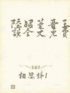 陆昭菱晋王的小说全文免费阅读