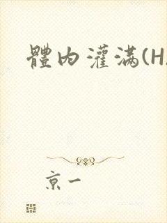 体内灌满(H)封面