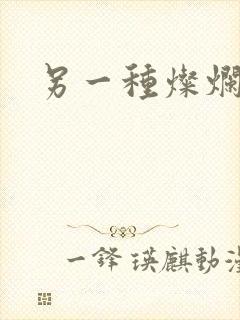 另一种灿烂生活