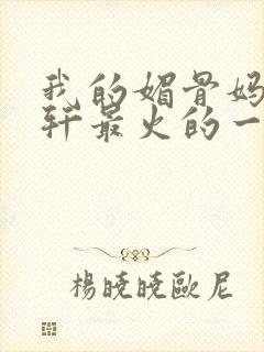 我的媚骨妈妈林轩最火的一句