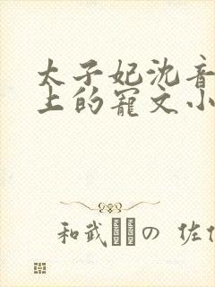 太子妃沈音和皇上的宠文小说