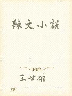 辣文小说