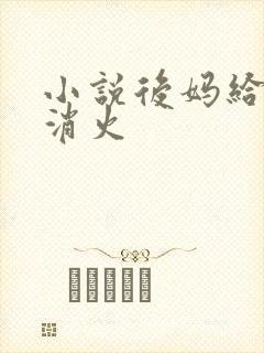 小说后妈给我消消火