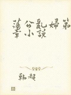 荡公乱妇第51章小说