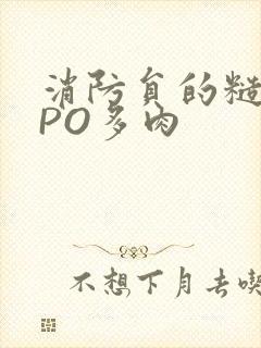 消防员的糙汉文PO多肉