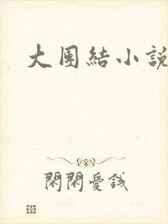 大团结小说阅读