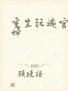 重生玩遍官场贵妇