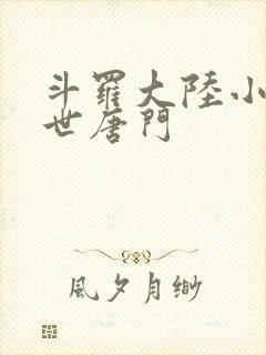 斗罗大陆小说绝世唐门