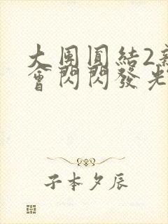 大团圆结2亲情会闪闪发光亲情会2