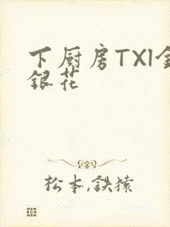 下厨房TXl金银花