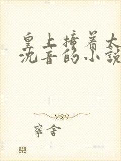 皇上撞着太子妃沈音的小说叫什么