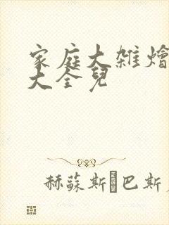 家庭大杂烩小说大全儿