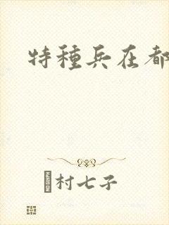 特种兵在都市