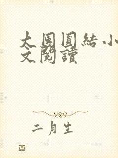 大团圆结小茹全文阅读