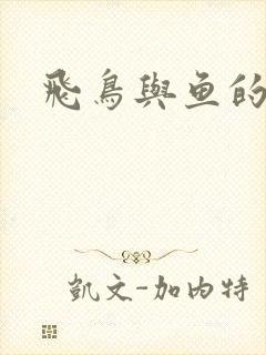 飞鸟与鱼的故事