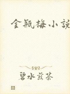 金瓶梅小说在线