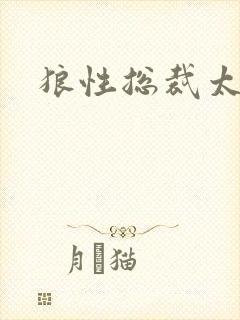 狼性总裁太凶猛