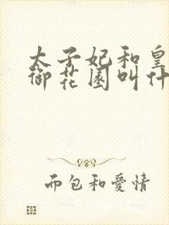 太子妃和皇帝在御花园叫什么小说