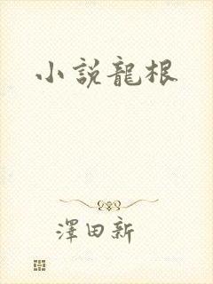 小说龙根