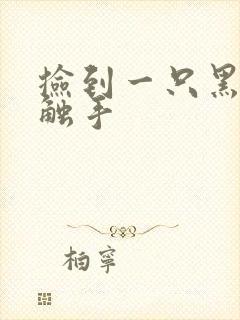 捡到一只黑心小触手