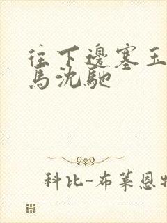 往下边塞玉器骑马沈驰