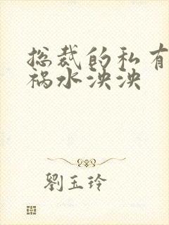 总裁的私有宝贝祸水泱泱