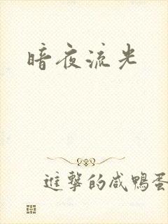 暗夜流光