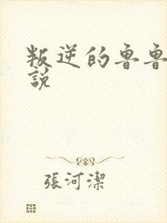 叛逆的鲁鲁修小说