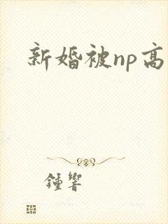 新婚被np高h