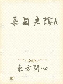 长日光阴h