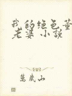 我的绝色董事长老婆 小说