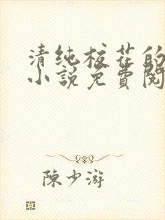 清纯校花的秘密小说免费阅读