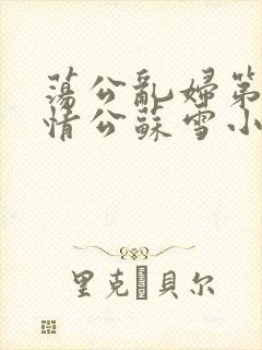 荡公乱妇第1章情公苏雪小说