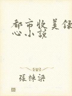都市收美录宁素心小说