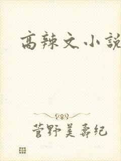 高辣文小说