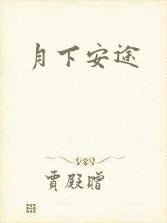 月下安途