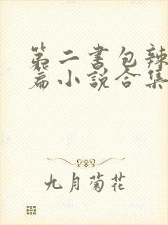 第二书包辣网短篇小说合集