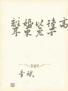 离婚以后高干 耳东兔子