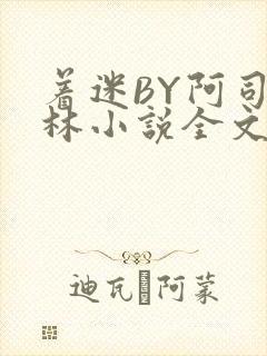 着迷BY阿司匹林小说全文免费阅读