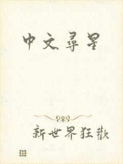 中文寻星