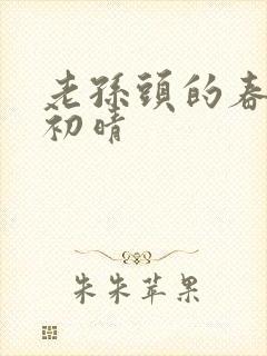 老孙头的春天林初晴