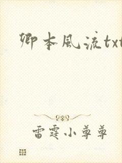 卿本风流txt